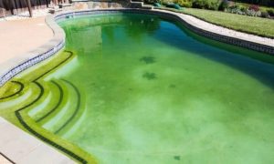 por-que-a-agua-da-piscina-fica-verde-667x400